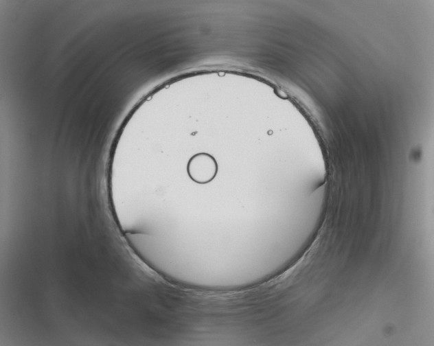 X0000116831288201001151218