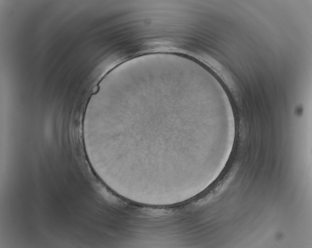 X0000116831289201001151218