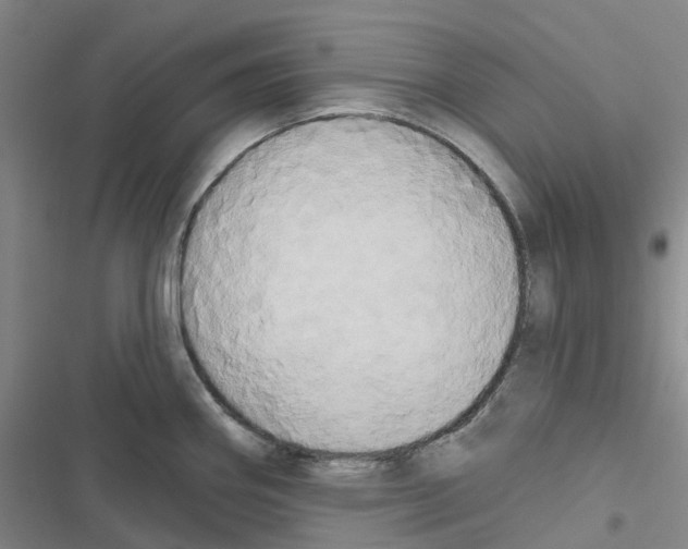 X0000116831290201001151218