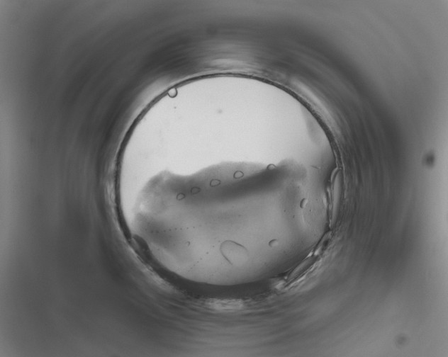 X0000116831291201001151218