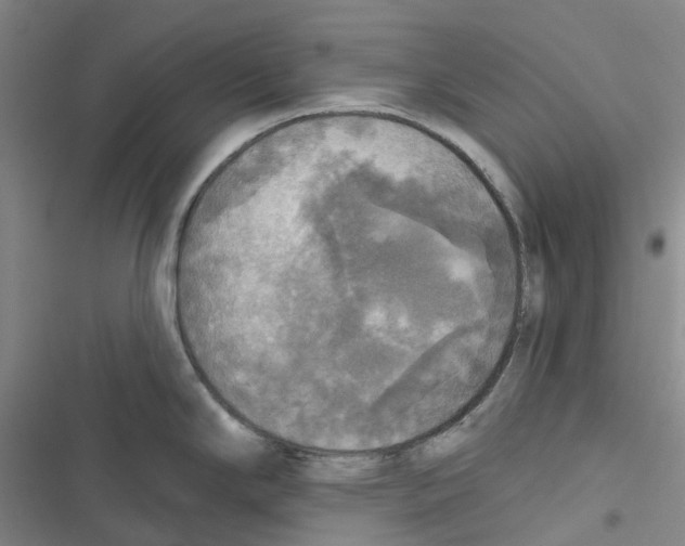 X0000116831294201001151218