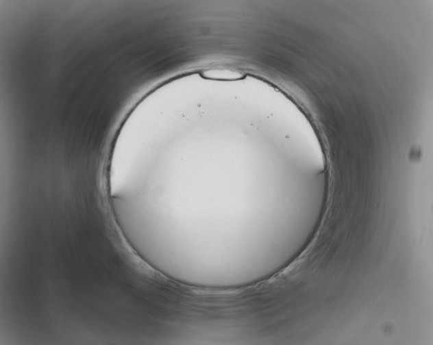 X0000116831296201001151218