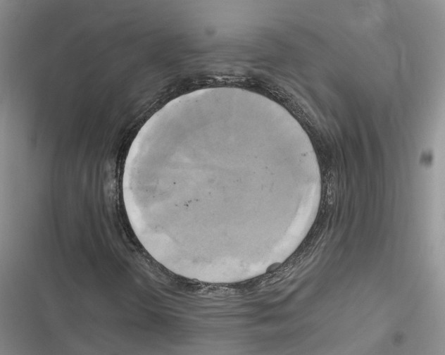 X0000116831298201001151218