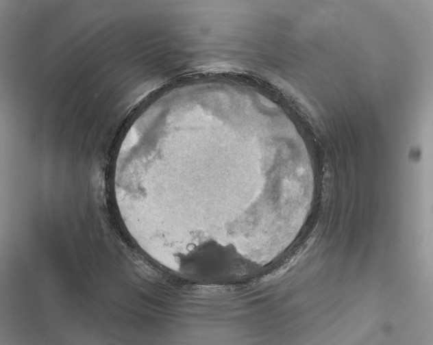 X0000116831305201001151218