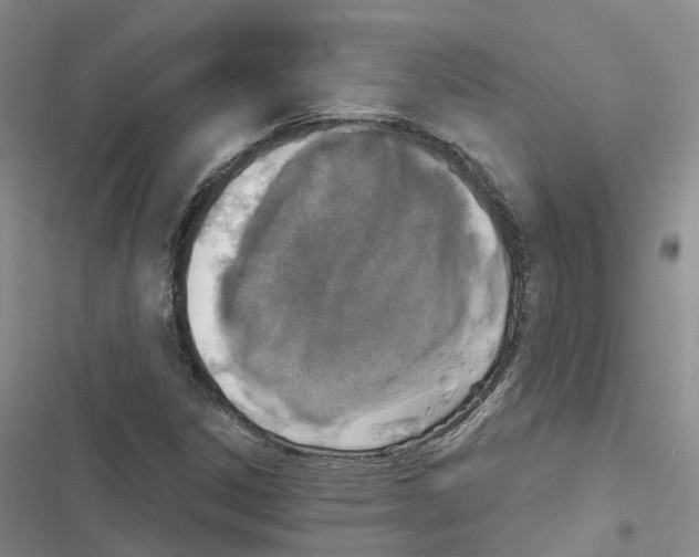 X0000116831306201001151218