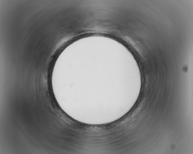 X0000116831307201001151218