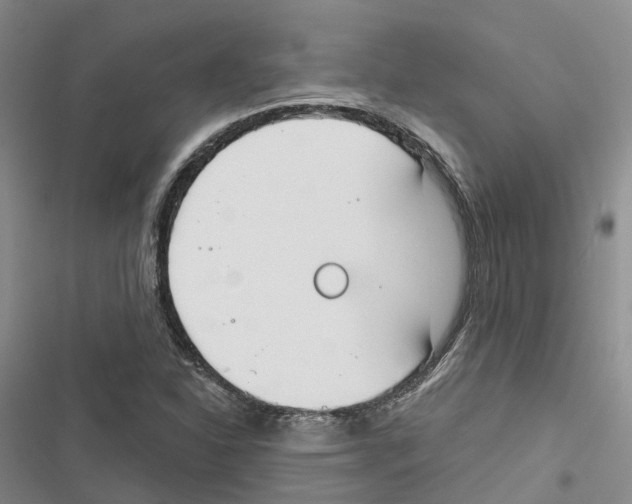 X0000116831310201001151218