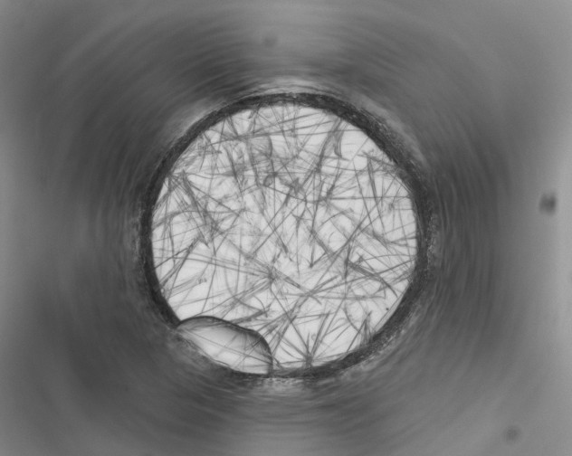 X0000116831313201001151218