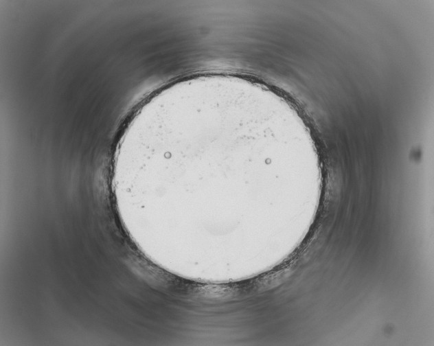 X0000116831314201001151218