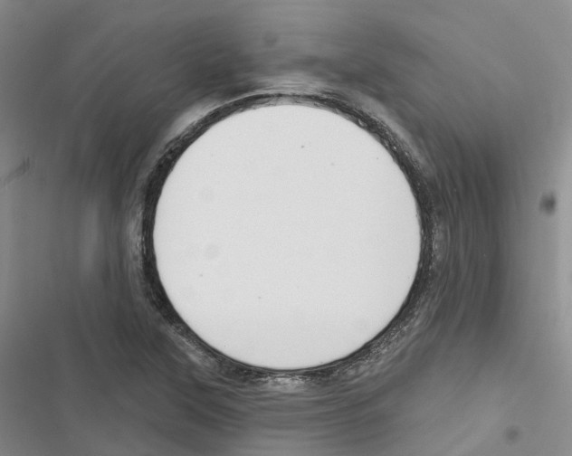 X0000116831315201001151218