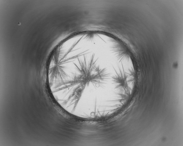 X0000116831317201001151218