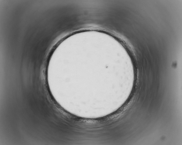 X0000116831318201001151218