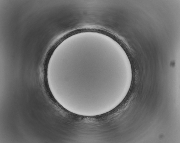 X0000116831319201001151218