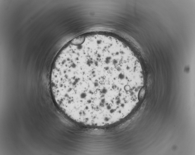 X0000116831321201001151218