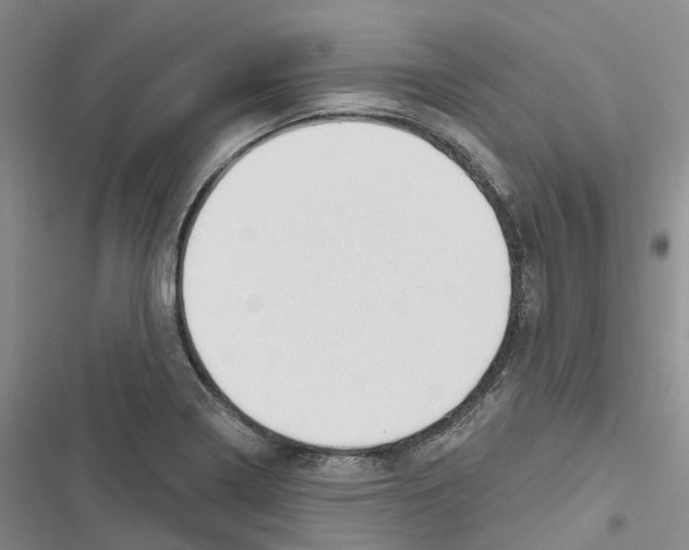 X0000116831322201001151218