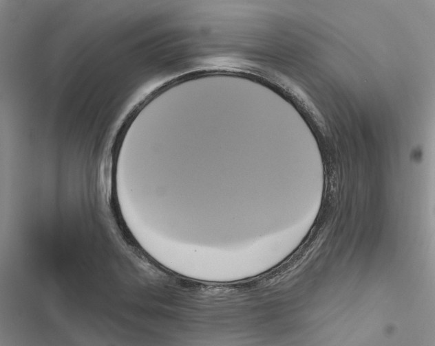 X0000116831323201001151218