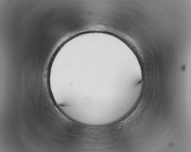 X0000116831326201001151218