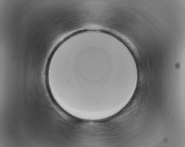 X0000116831327201001151218