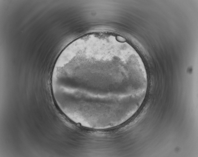 X0000116831329201001151218