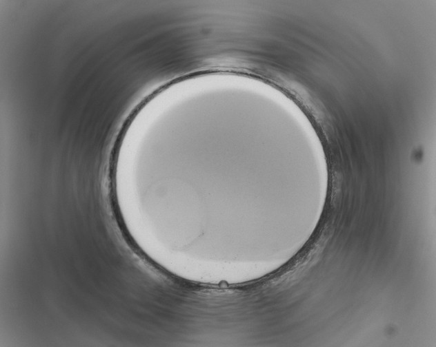 X0000116831331201001151218