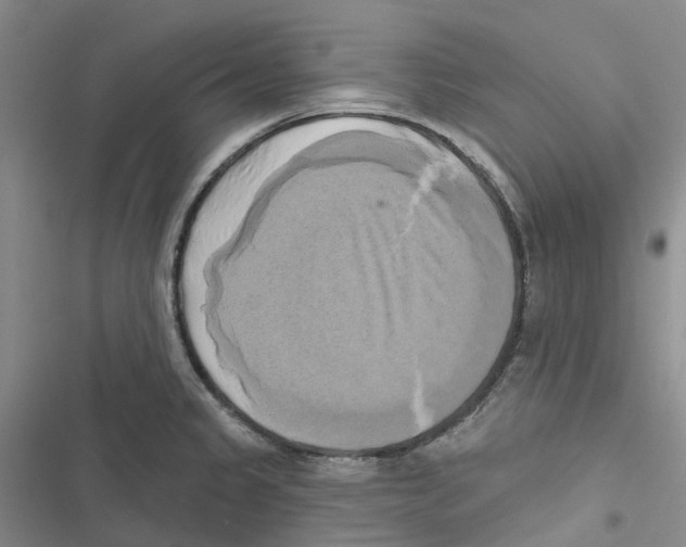 X0000116831333201001151218