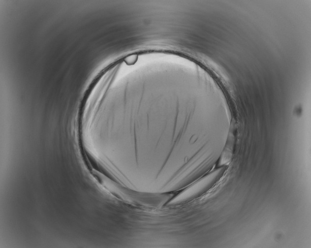 X0000116831334201001151218