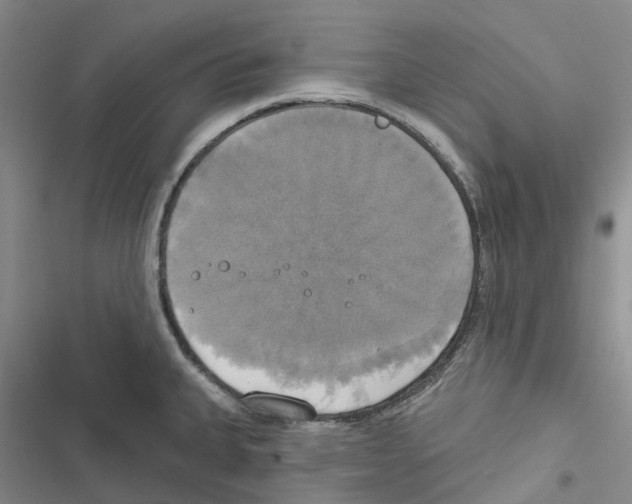 X0000116831335201001151218