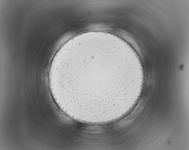 X0000116831338201001151218