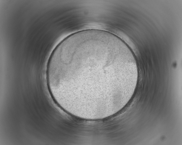 X0000116831339201001151218