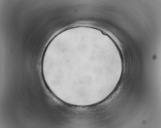 X0000116831341201001151218