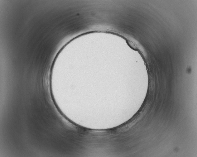 X0000116831343201001151218