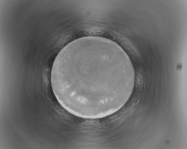 X0000116831346201001151218