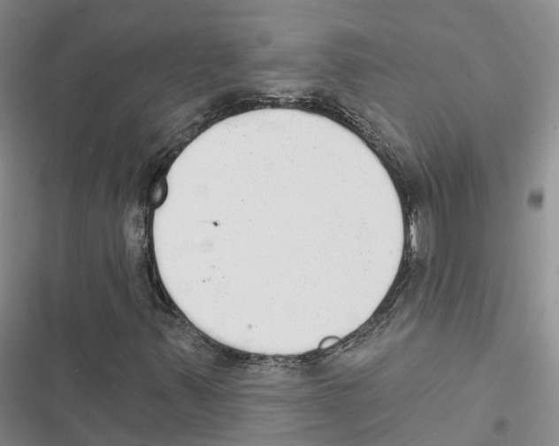 X0000116831347201001151218