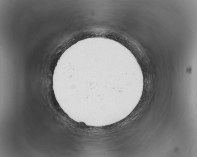 X0000116831349201001151218