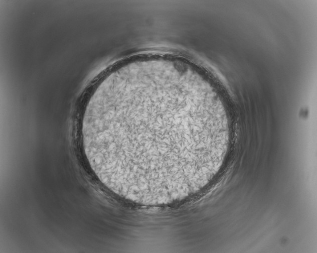 X0000116831352201001151217