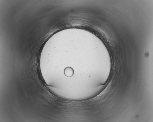 X0000116831353201001151217