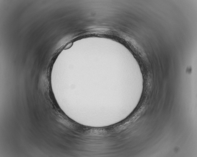 X0000116831354201001151217