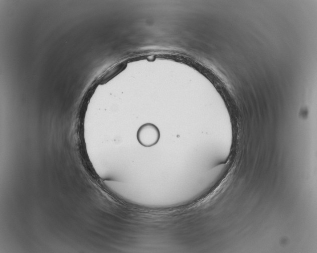 X0000116831357201001151217