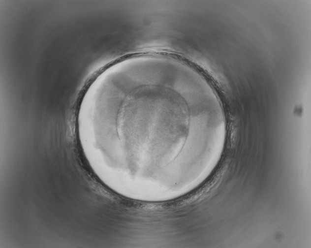 X0000116831358201001151217