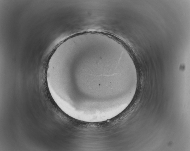 X0000116831359201001151217