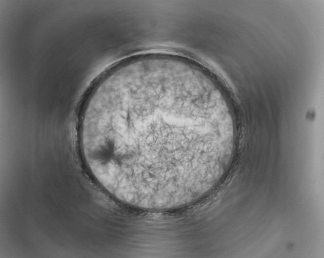 X0000116831360201001151217