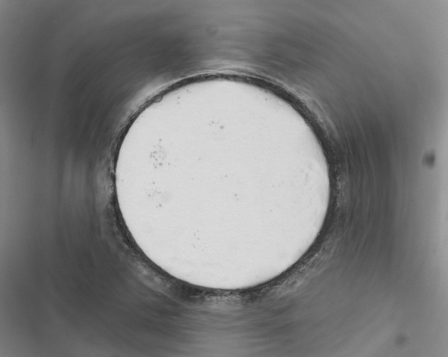 X0000116831363201001151217