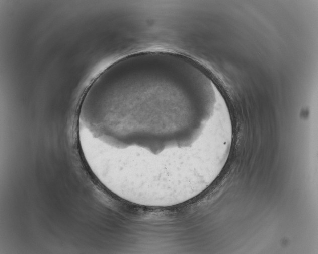 X0000116831367201001151217