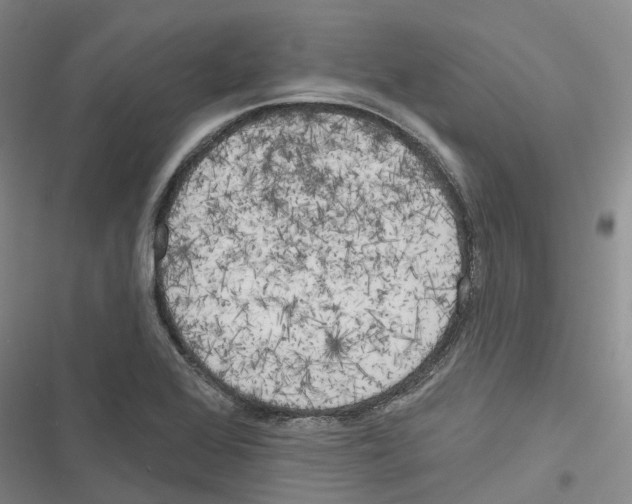 X0000116831368201001151217