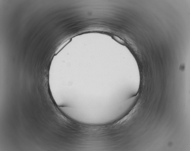 X0000116831369201001151217