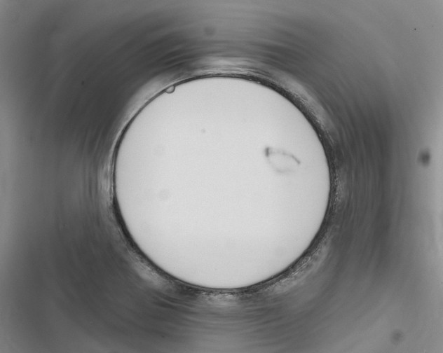 X0000116831370201001151217