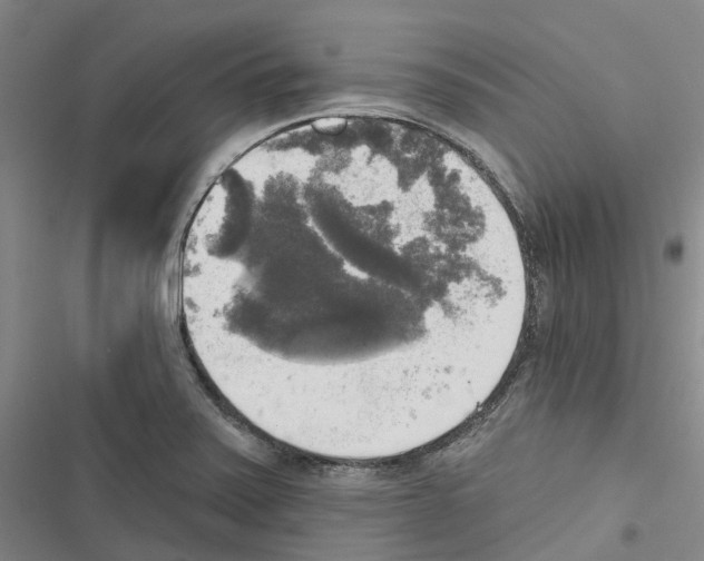 X0000116831371201001151217