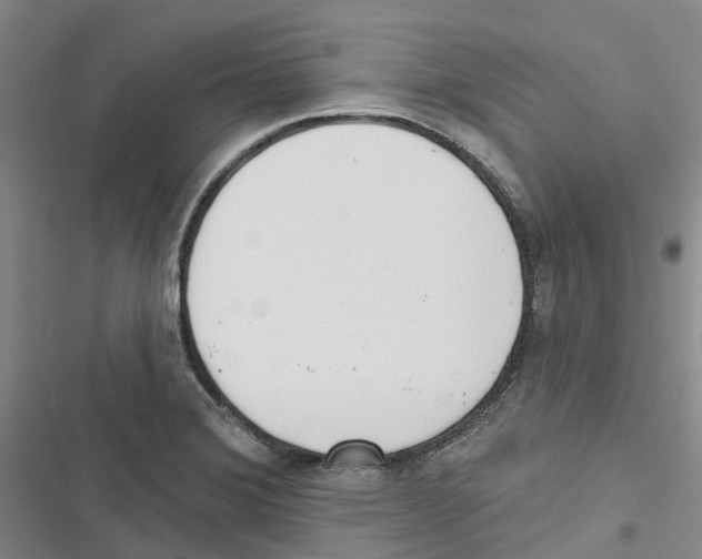 X0000116831372201001151217