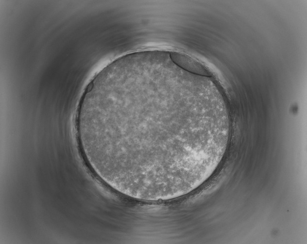 X0000116831373201001151217