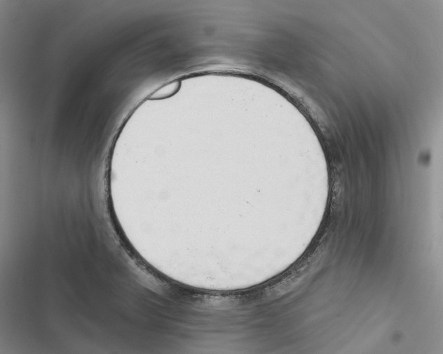 X0000116831375201001151217